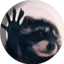 ServerIcon