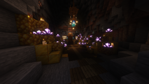 serverImage