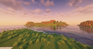 serverImage