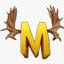 ServerIcon