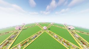 serverImage