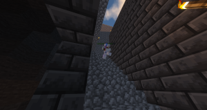 serverImage