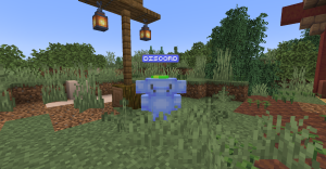 serverImage