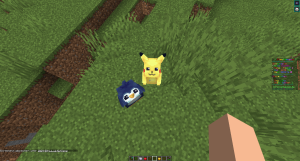 serverImage
