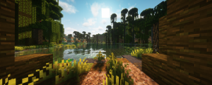 serverImage