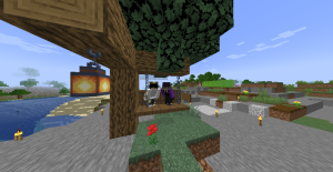 serverImage