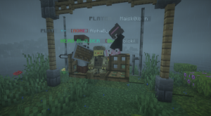 serverImage