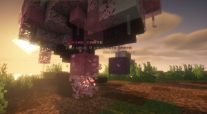 serverImage