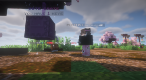 serverImage