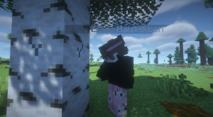 serverImage