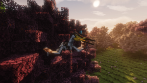 serverImage