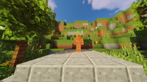 serverImage