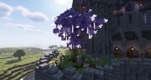 serverImage