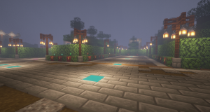 serverImage