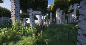 serverImage