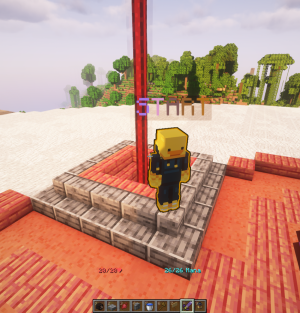 serverImage
