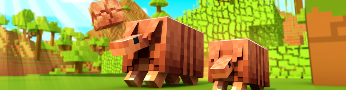 serverCover