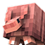 ServerIcon