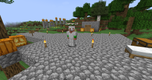 serverImage