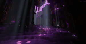 serverImage