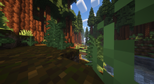 serverImage