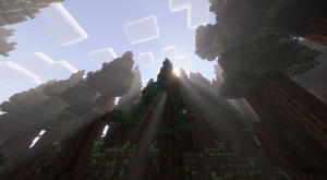 serverImage