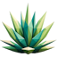 ServerIcon