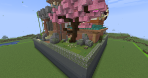 serverImage