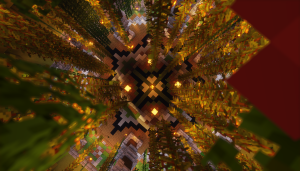 serverImage