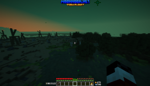 serverImage