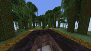 serverImage