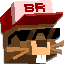 ServerIcon