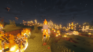 serverImage