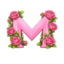 ServerIcon