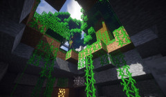 serverImage