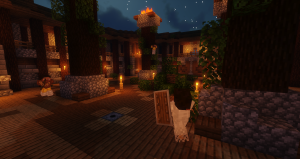 serverImage