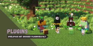 serverImage