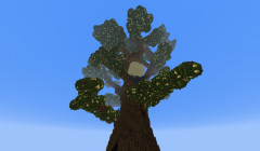 serverImage