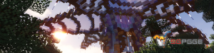 serverImage