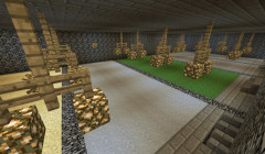 serverImage