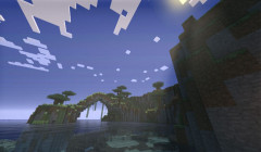 serverImage