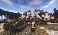 serverImage