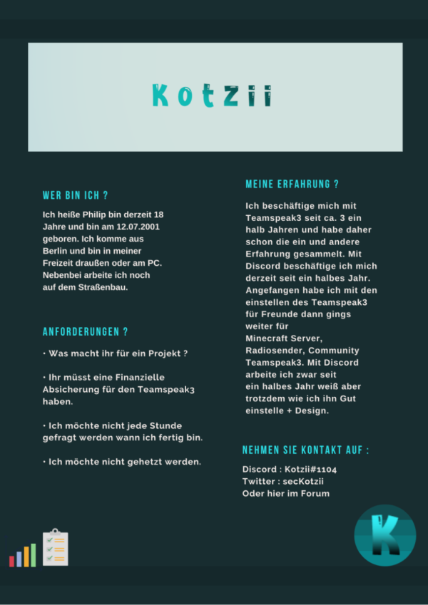 Berufliche Zusammenfassung (2)1.png