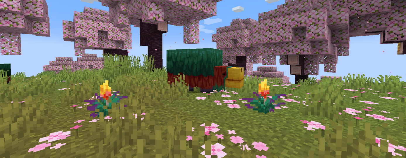 header.png