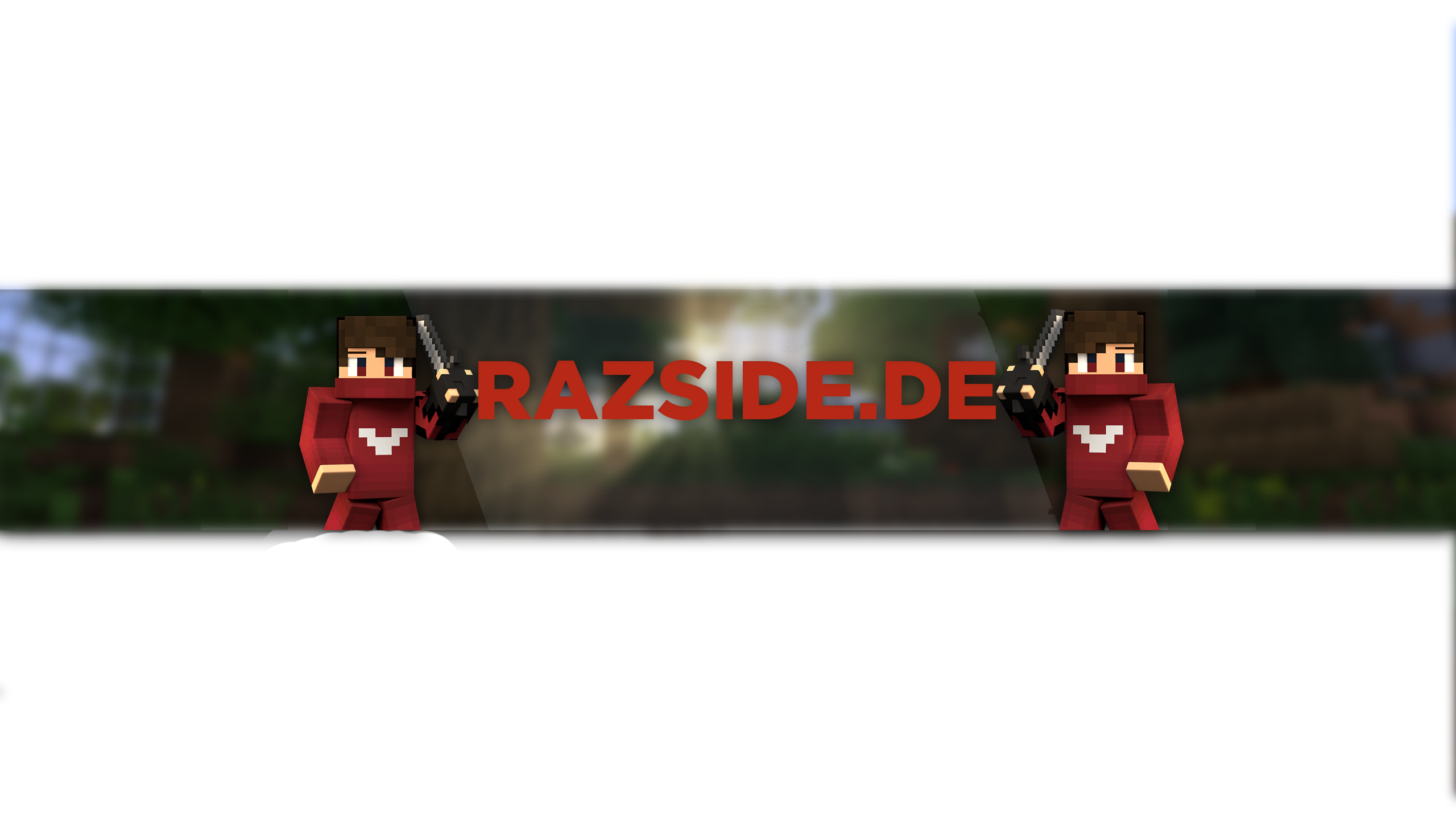 TsBanner.png