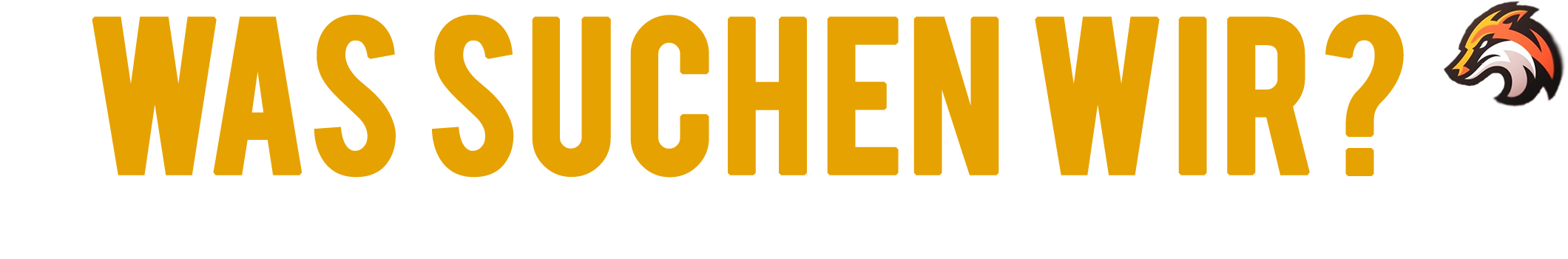 wassuchen wir.png