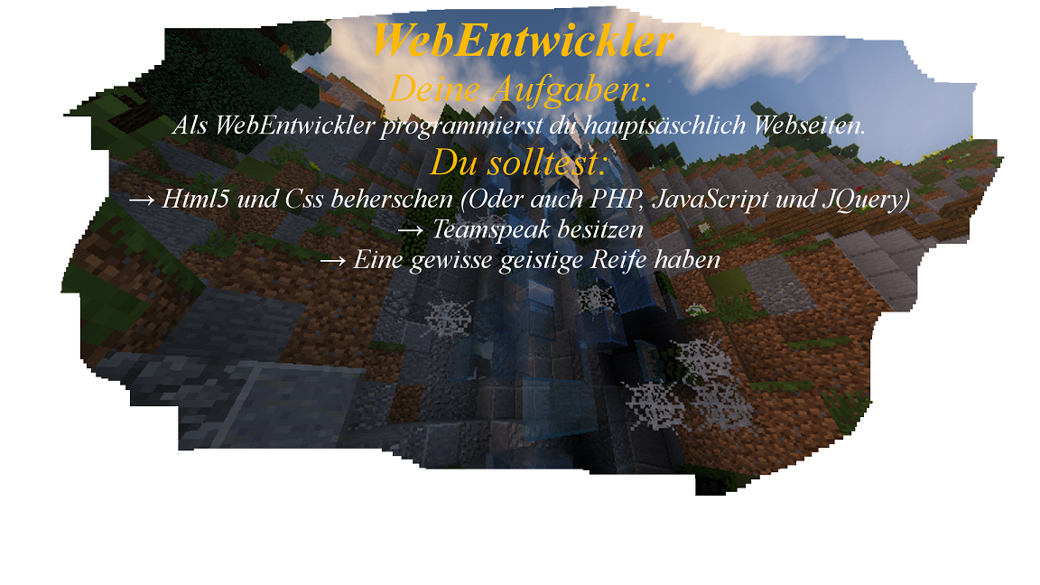 Webentwickler.png
