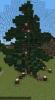 Baum3.png