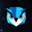 revaice logo.png