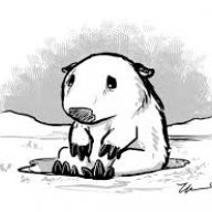 WombatZGhost